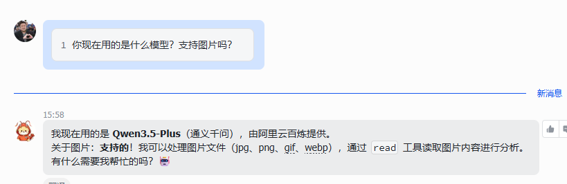 问 OpenClaw 当前模型是否支持图片