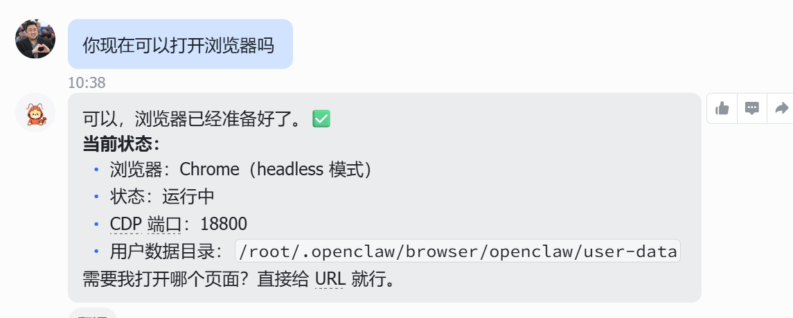 浏览器配置成功后的状态输出